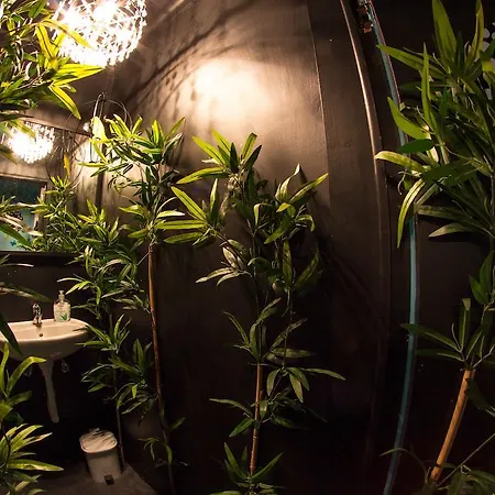 Hostel Way & Surf Camp *