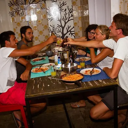 Way & Surf Camp